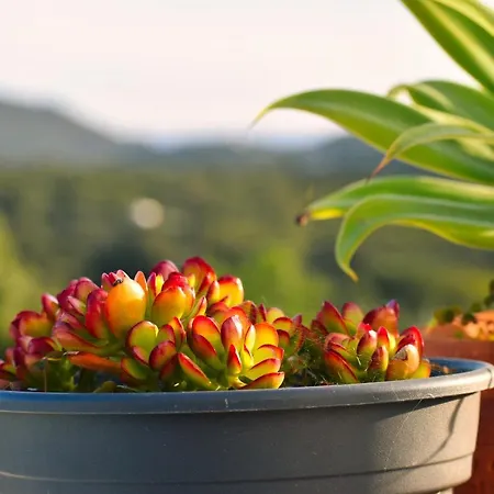 民宿 Heaven's Edge São Brás de Alportel