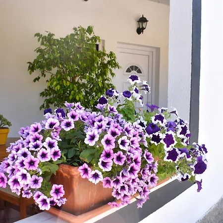 Heaven's Edge 民宿 *